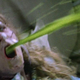 Visual representation of William Friedkin's opinion on a planned Exorcist reboot
